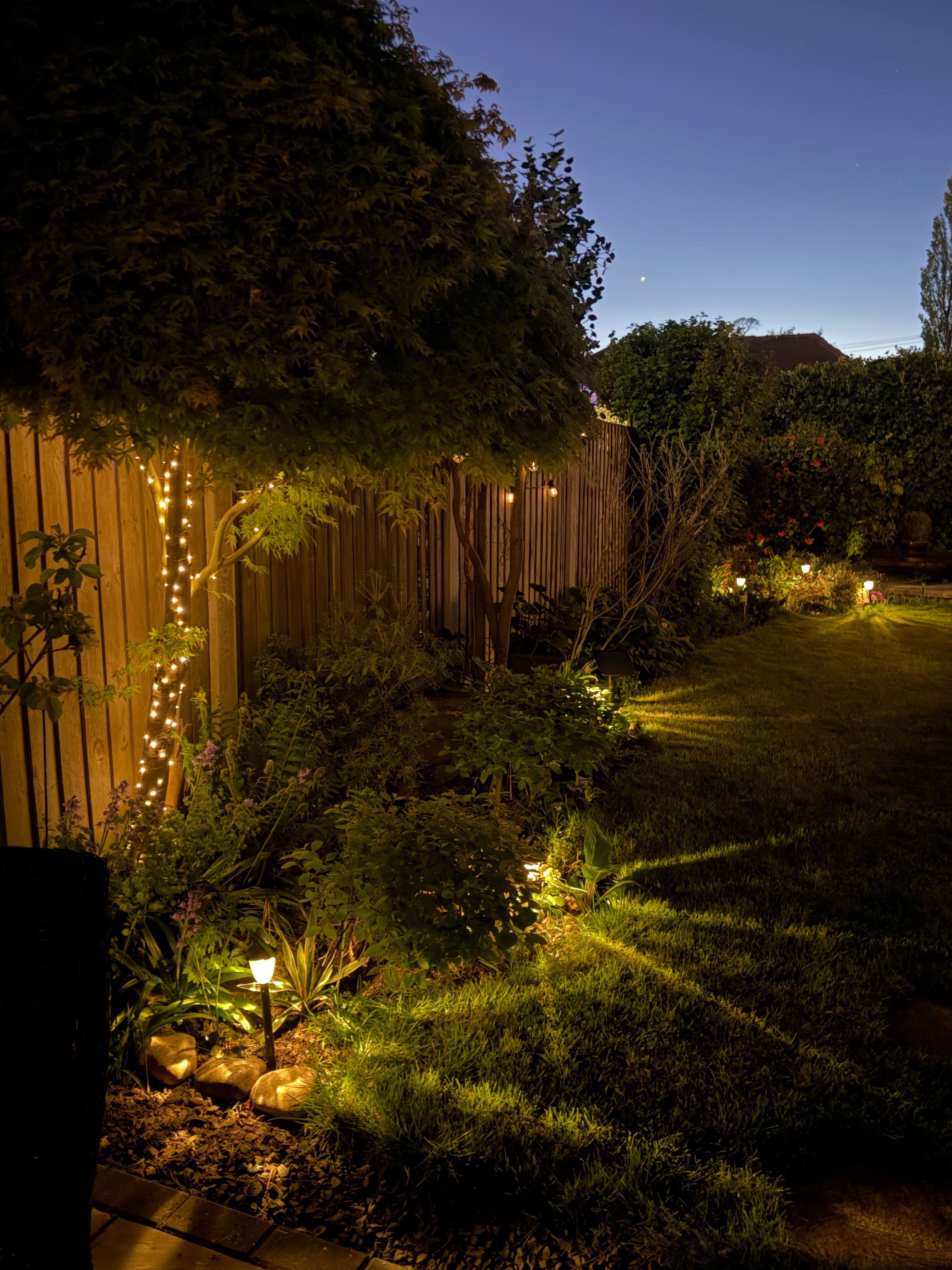 A planted garden border at dusk, lit by strings of warm fairy lights along a fence, with a mown lawn beyond